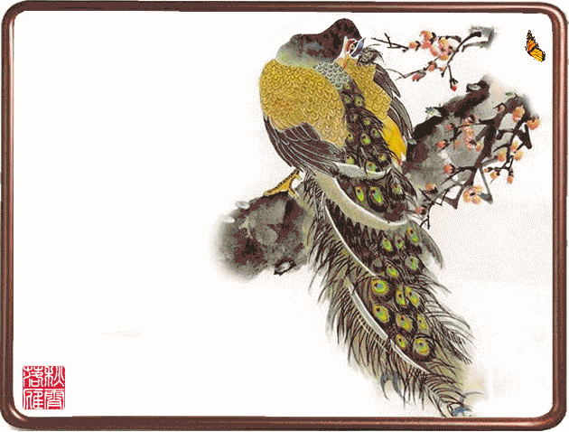 4.gif
