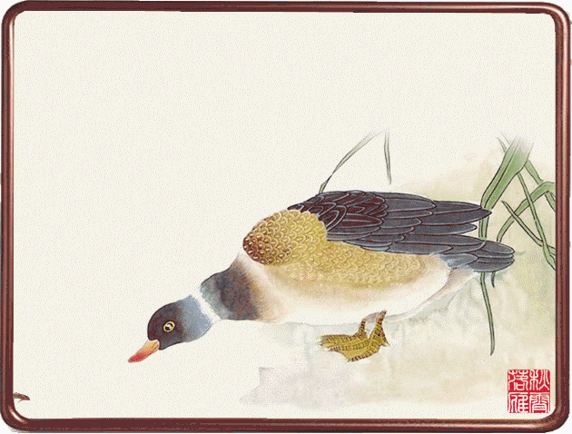 3.gif