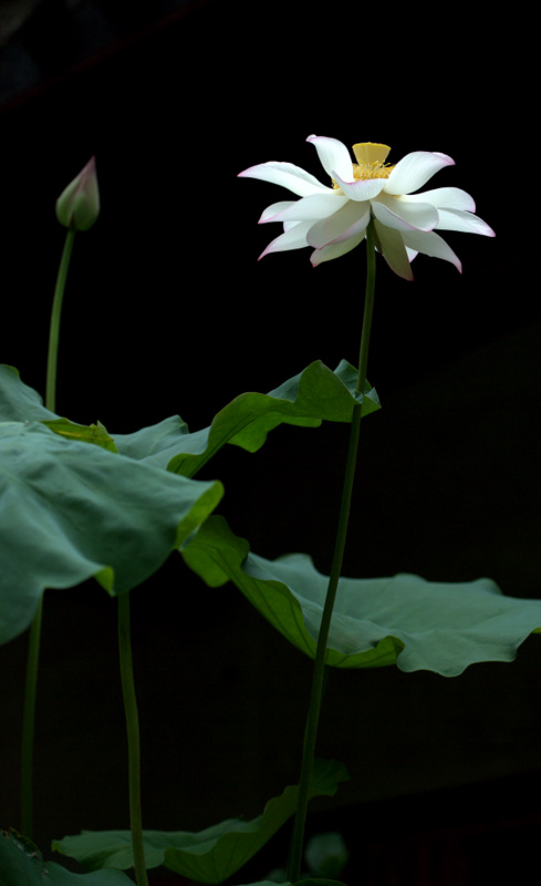 DSC_1317.jpg