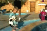 12.gif