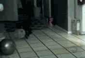 19.gif