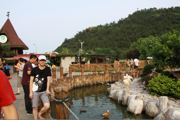 未命名.jpg