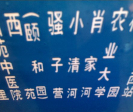 骚子营.jpg