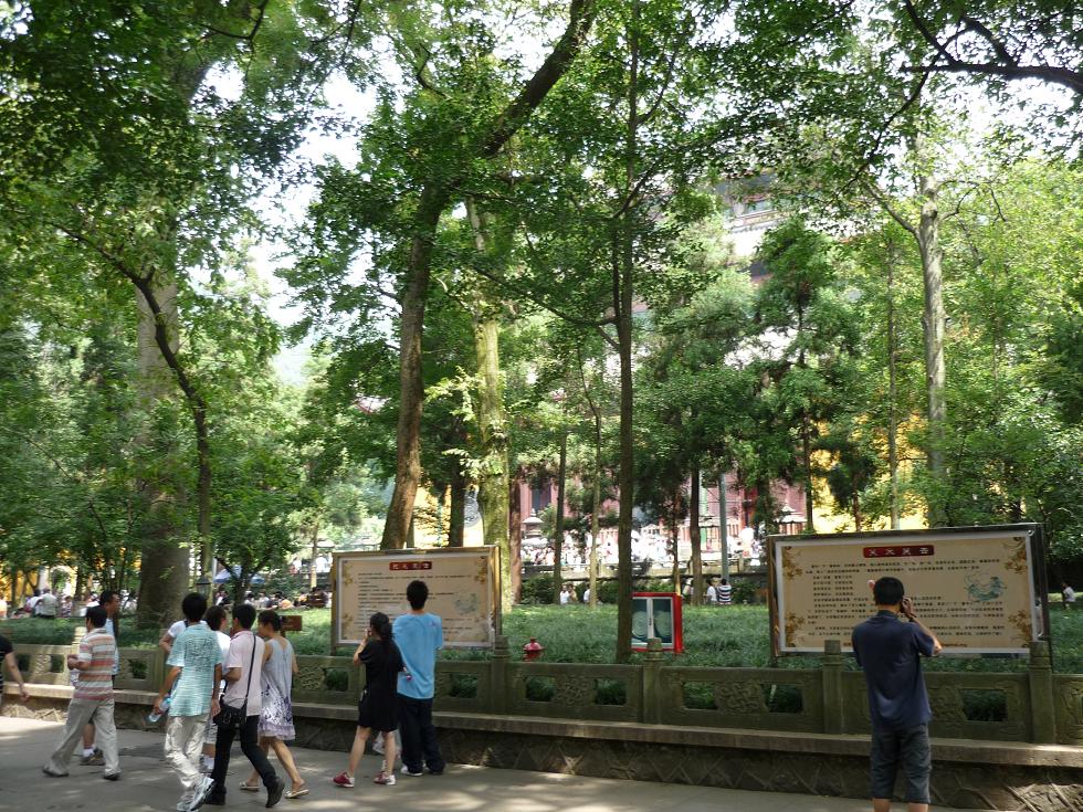 P1000889.JPG