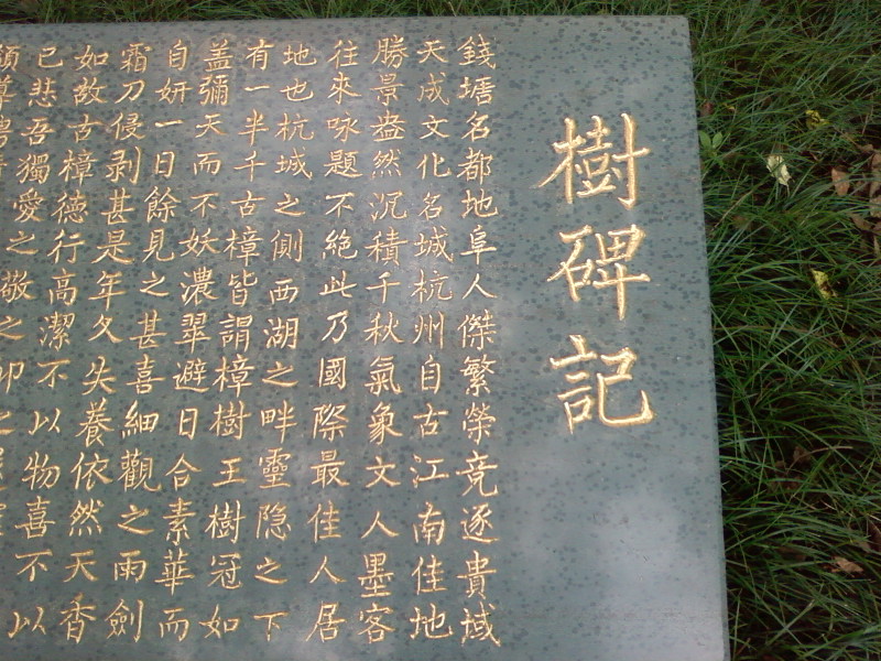 SP_A0512.jpg