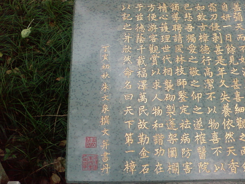 SP_A0514.jpg