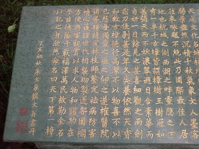 SP_A0513.jpg