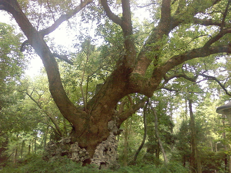 SP_A0511.jpg