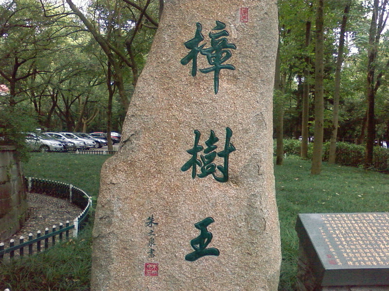 SP_A0515.jpg