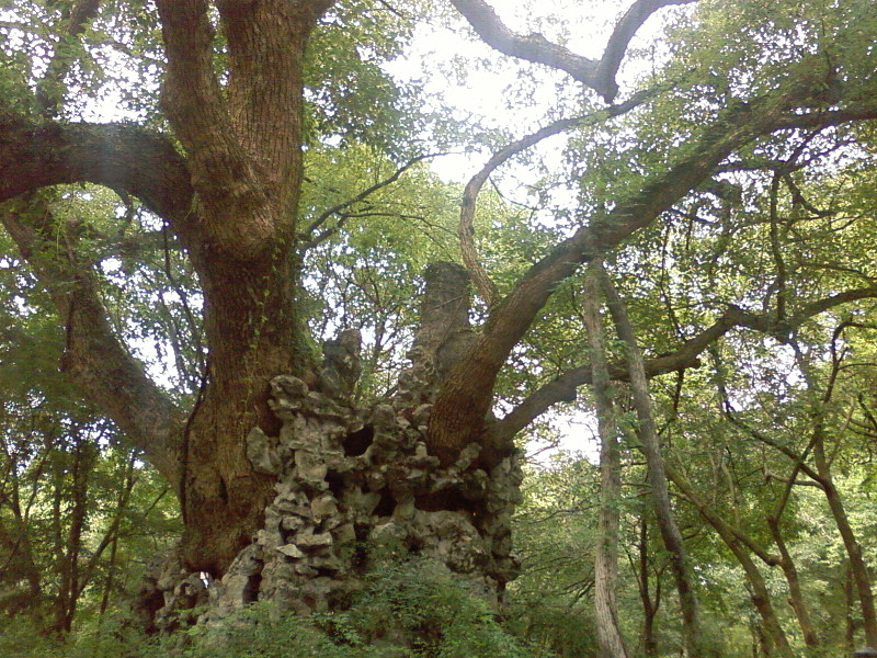 SP_A0509.jpg