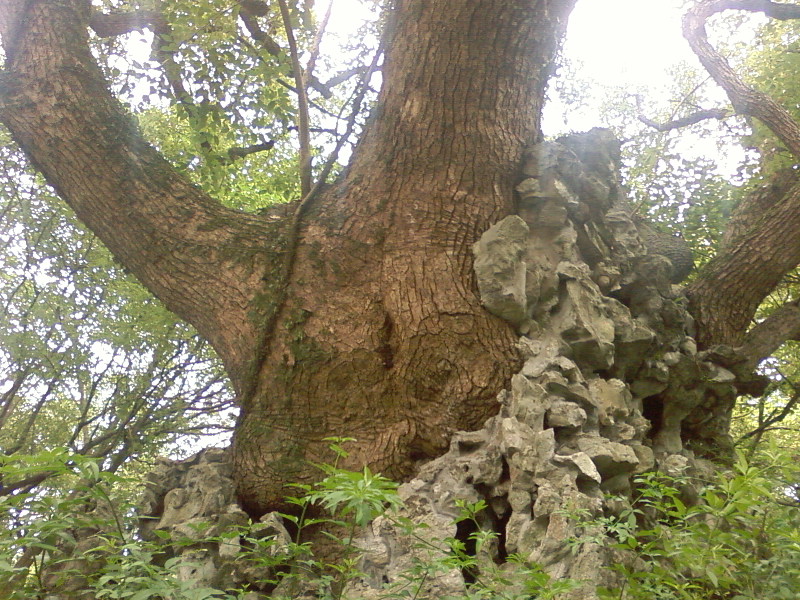 SP_A0507.jpg