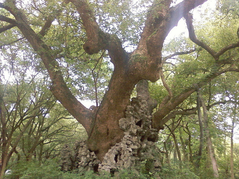 SP_A0510.jpg