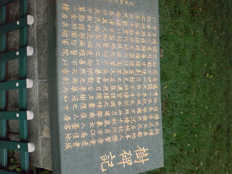 SP_A0506.jpg