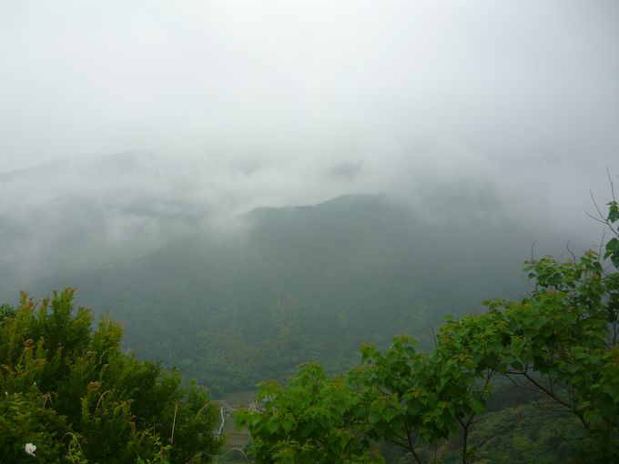 照片 015.jpg