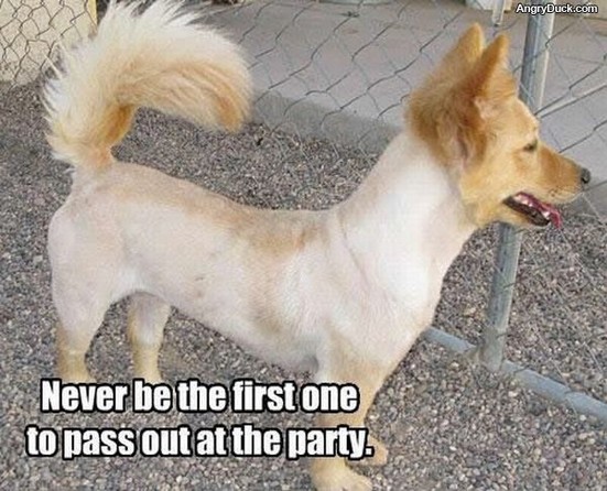 Dont-be-first.jpg