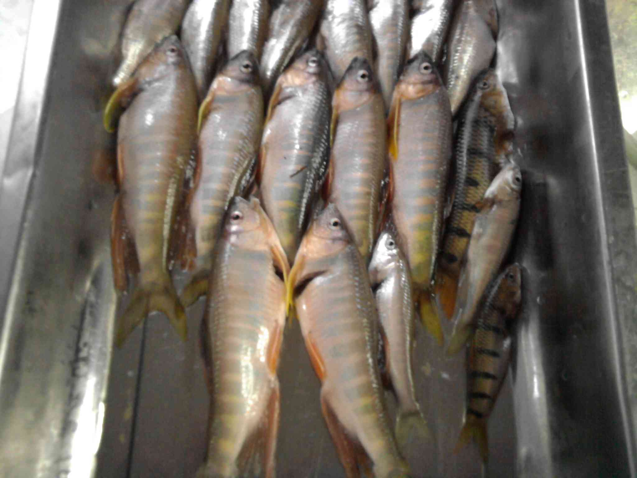 照片0639.jpg