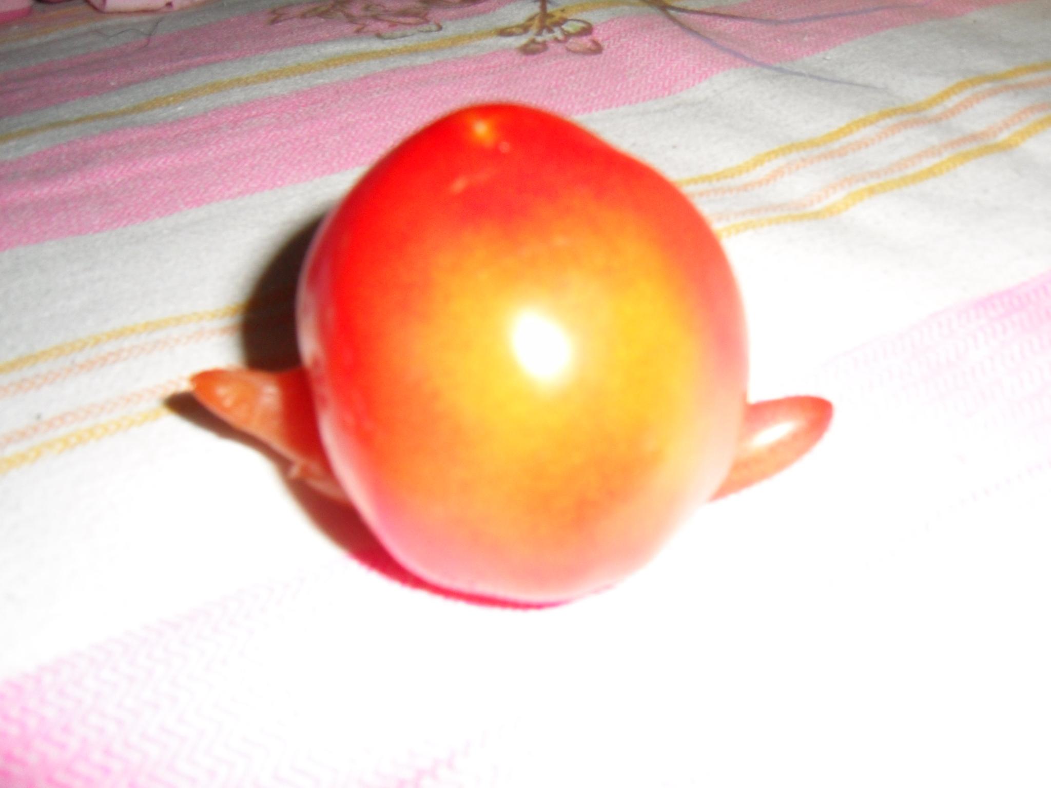SDC11418.JPG