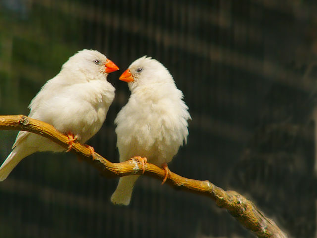 2006329111640713[1].jpg