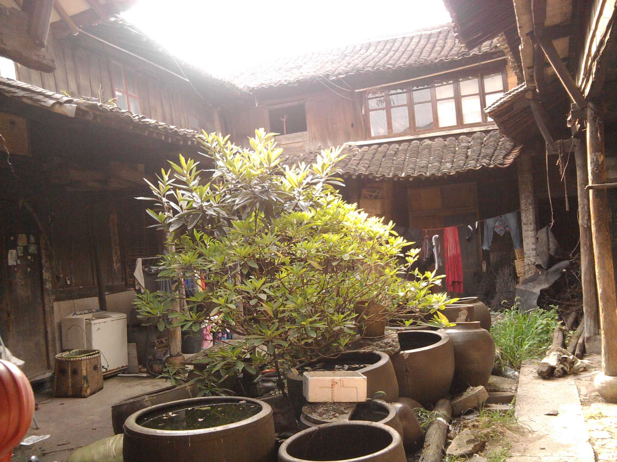 照片0649.jpg