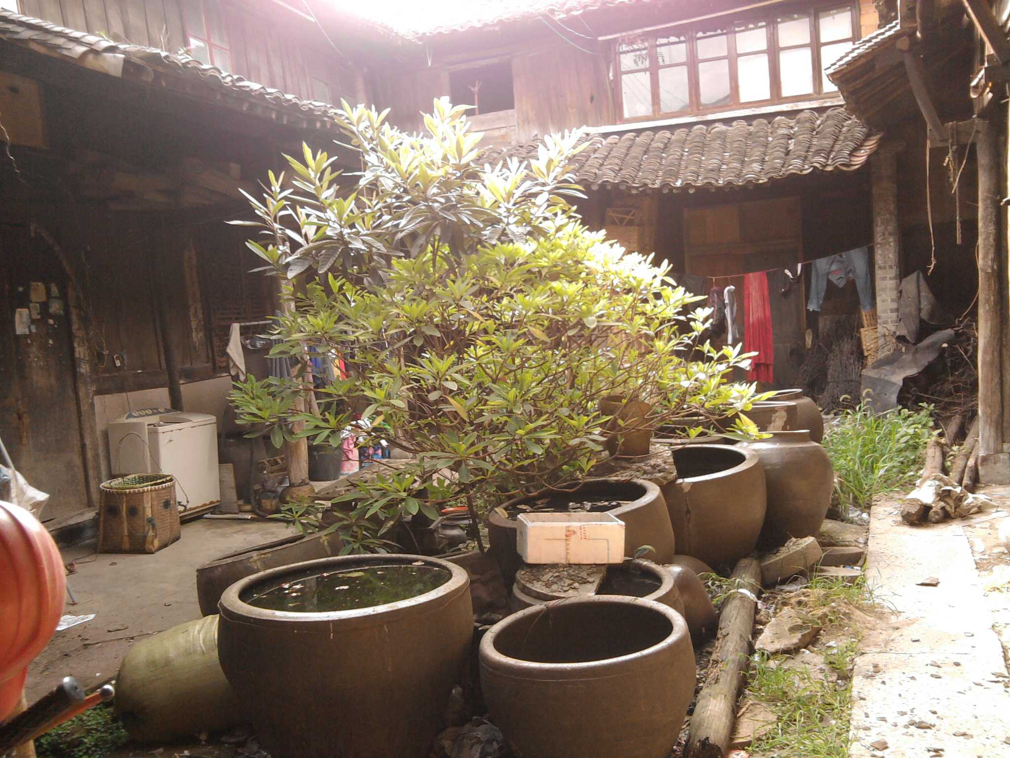 照片0651.jpg