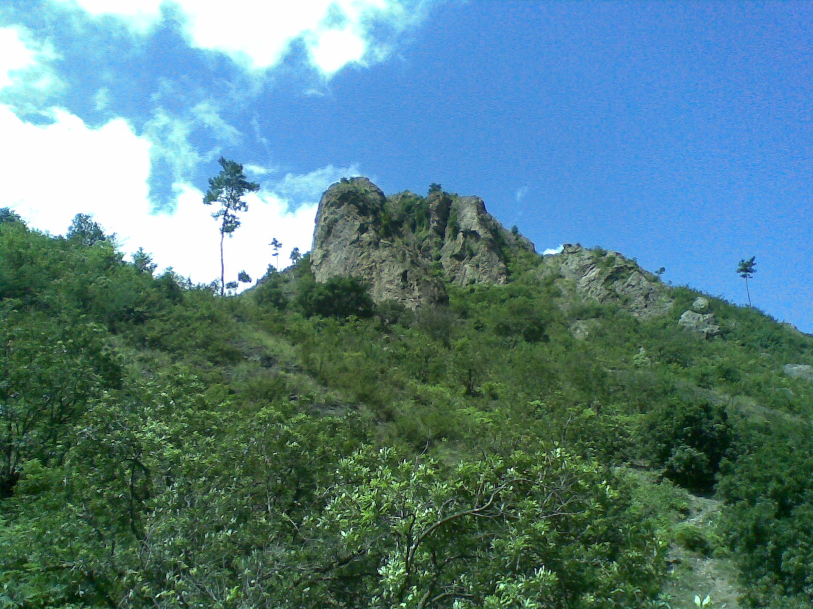 养眼