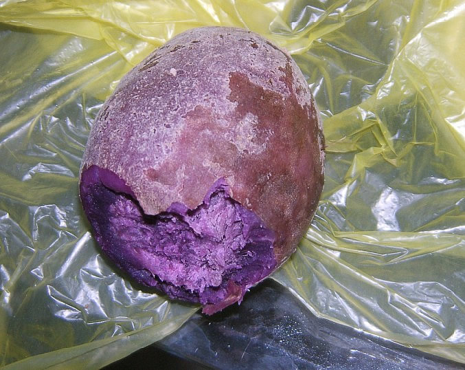 哥吃的是红薯1.jpg
