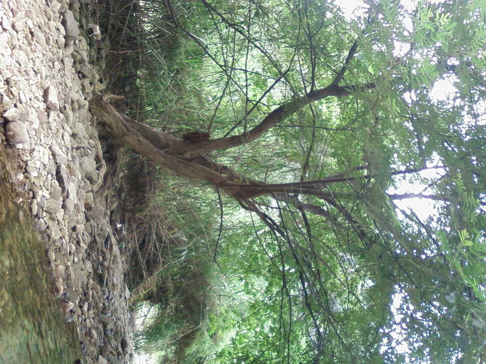 SP_A0194.jpg