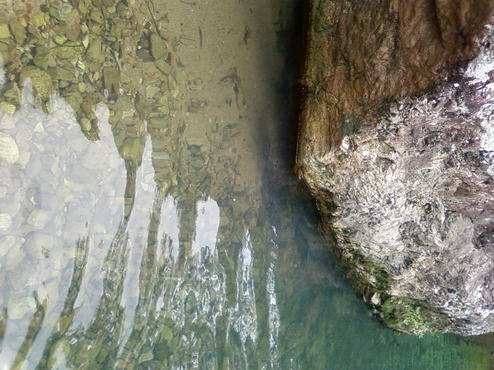 SP_A0190.jpg