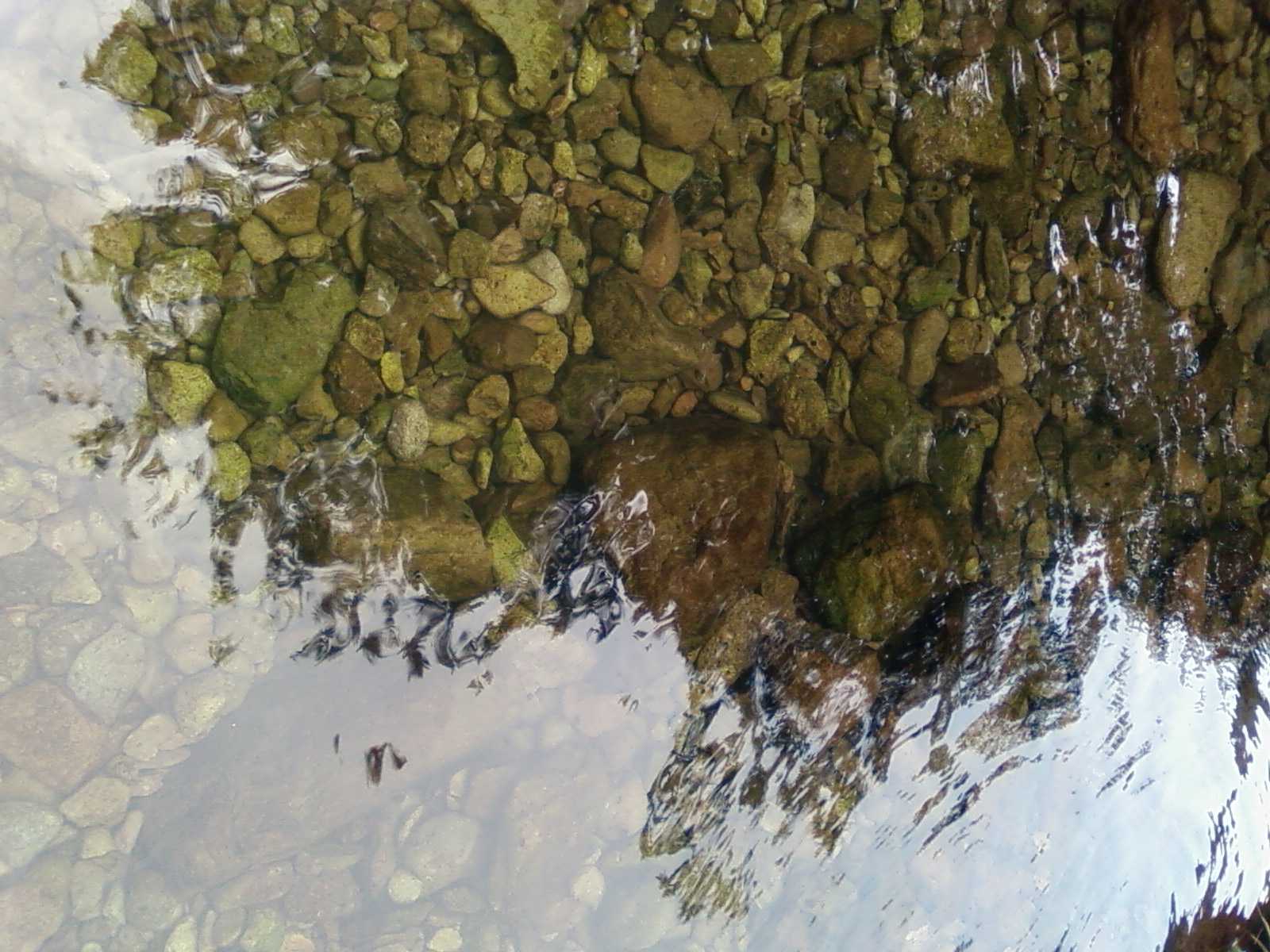 SP_A0192.jpg