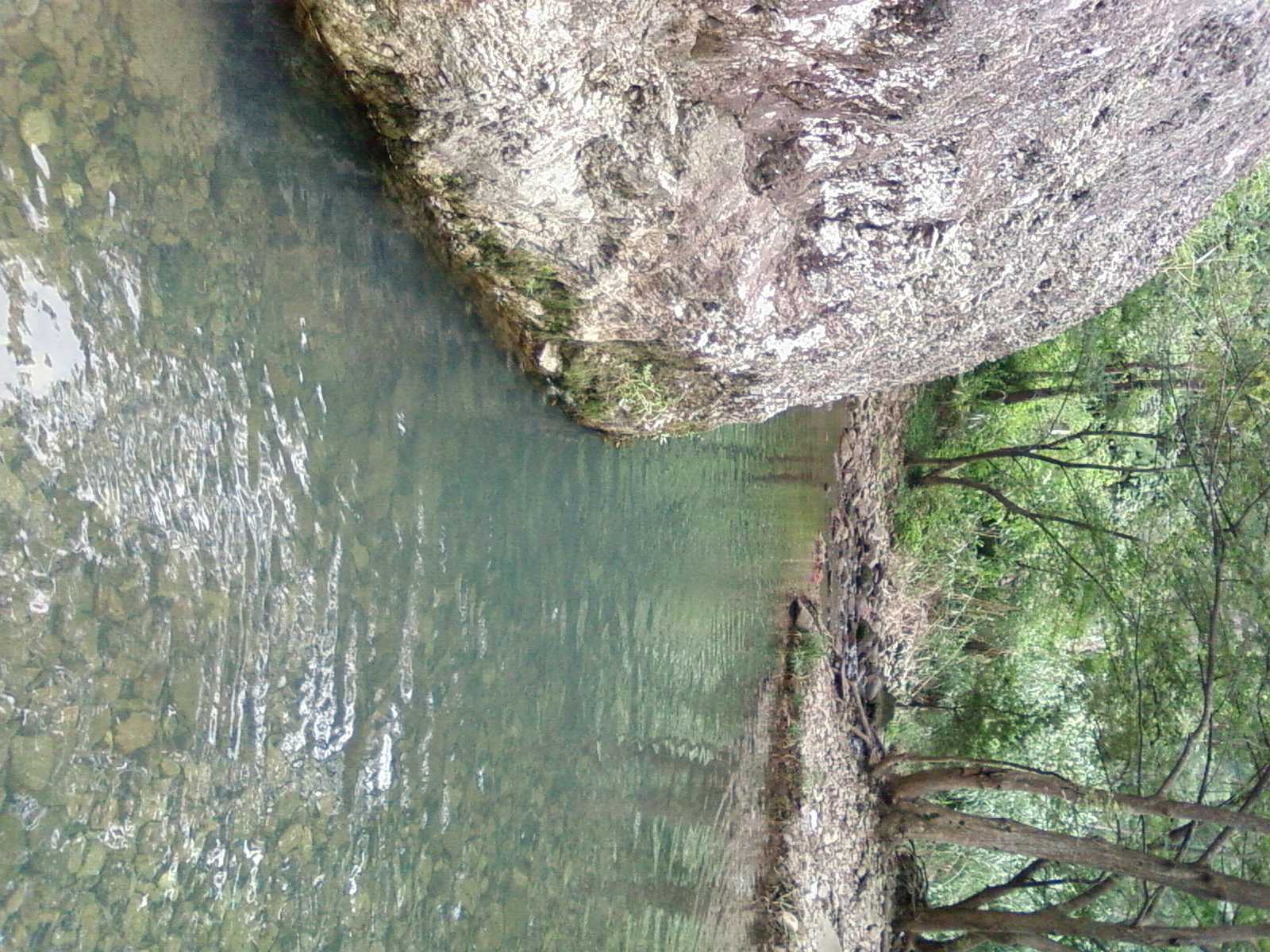 SP_A0191.jpg