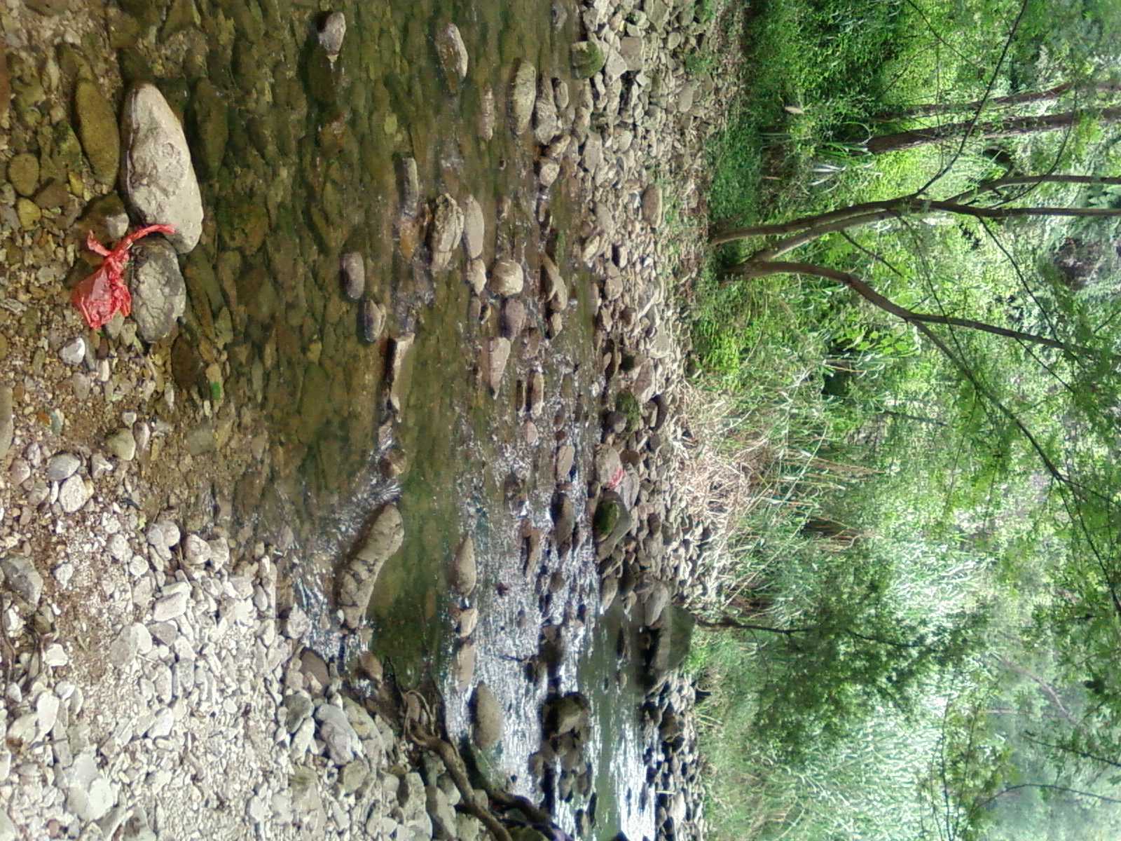 SP_A0200.jpg