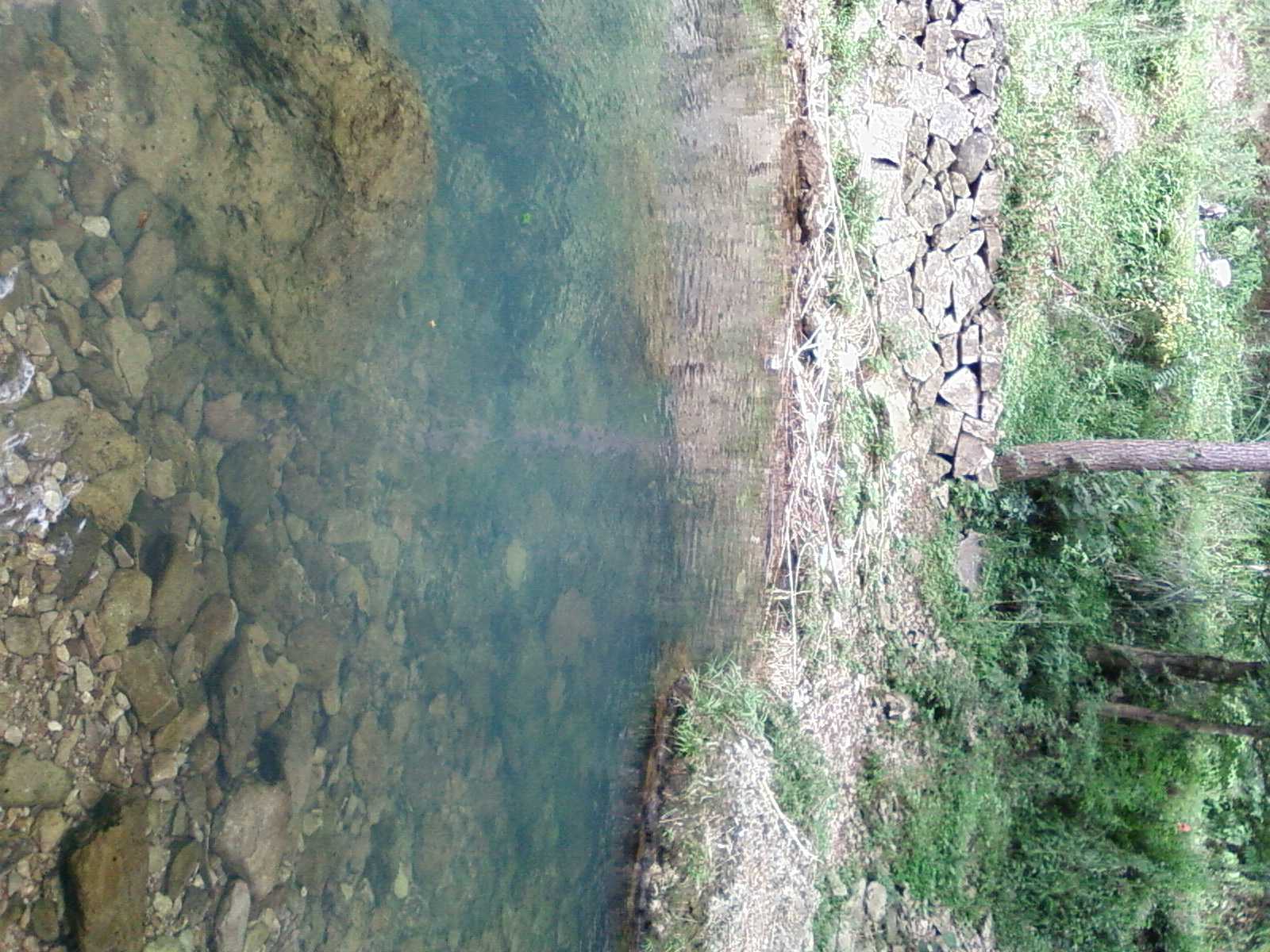 SP_A0199.jpg