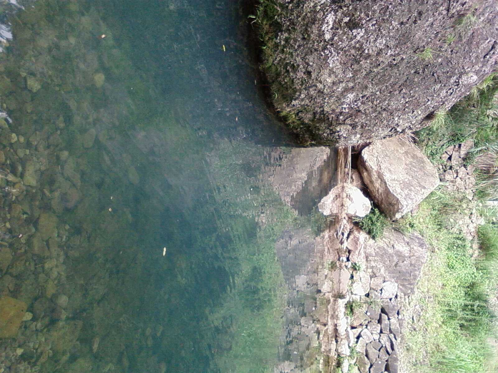 SP_A0198.jpg