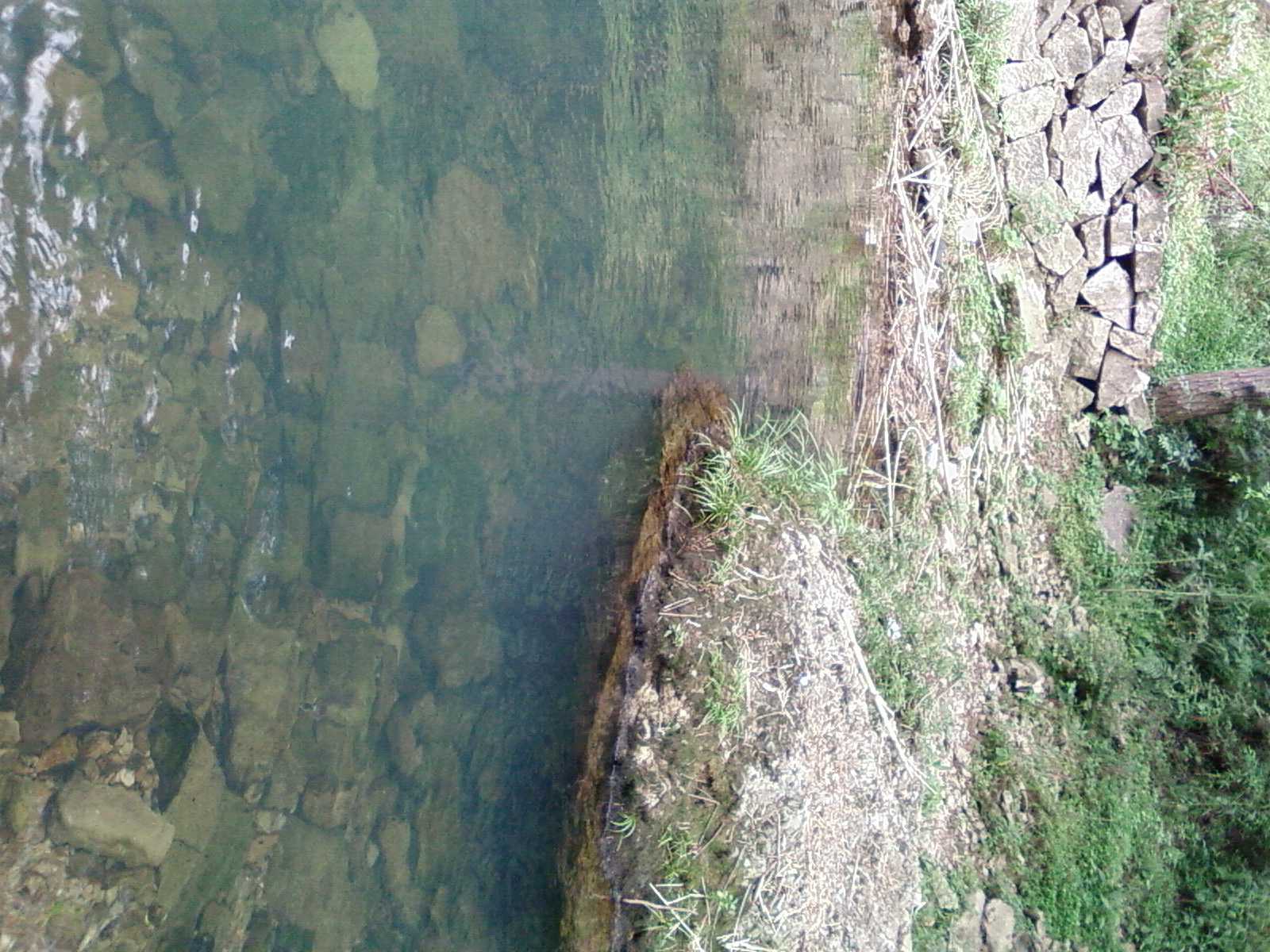 SP_A0201.jpg