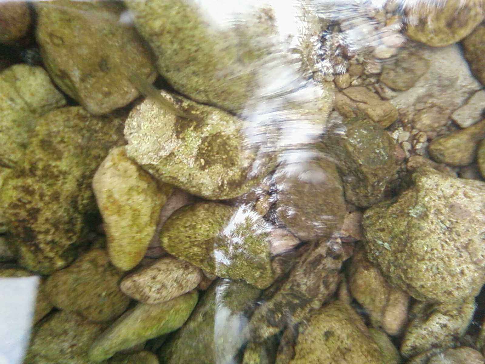 SP_A0195.jpg