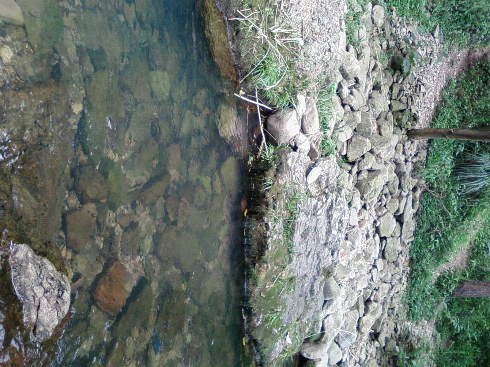 SP_A0202.jpg