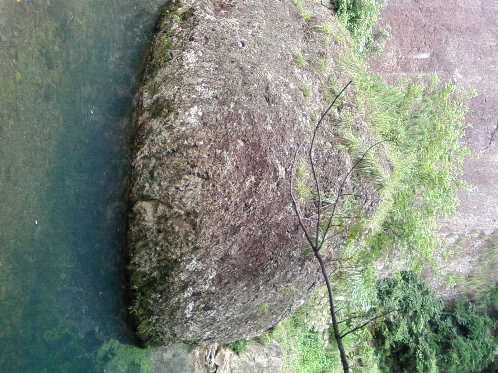 SP_A0197.jpg