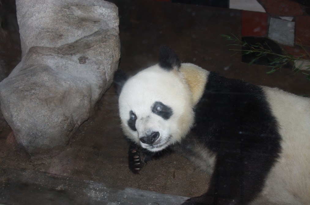 未命名.jpg