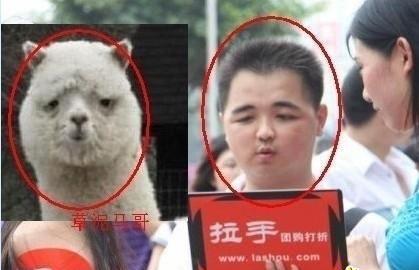 兄弟.jpg
