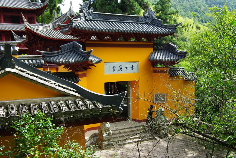 IMGP7720.jpg