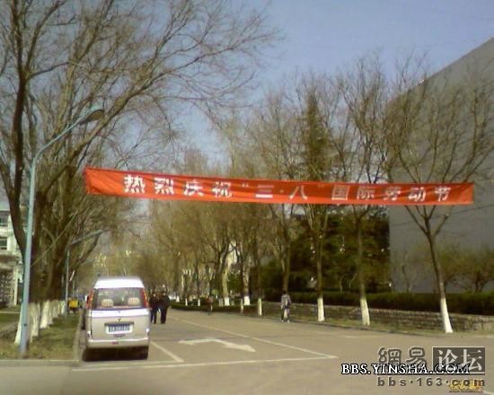 8932205_12358380.jpg