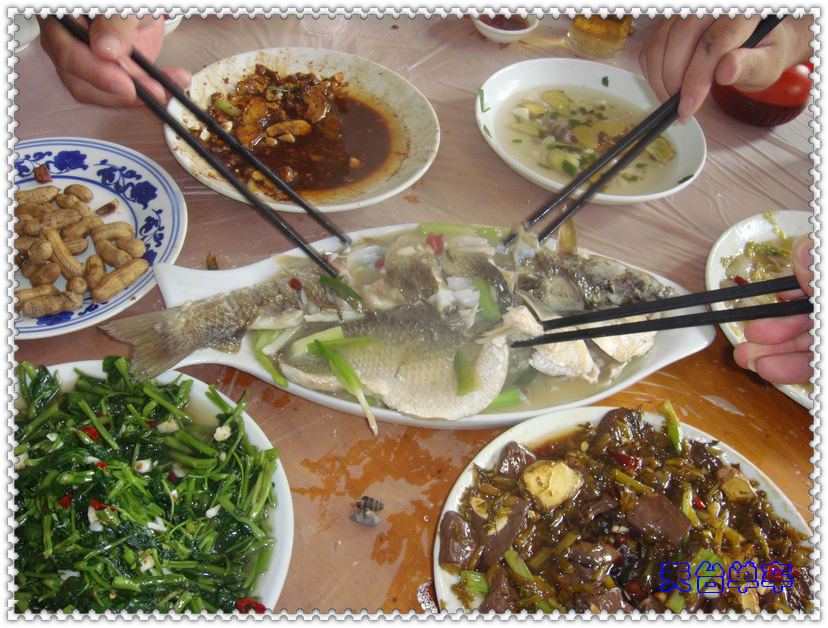 鱼.jpg