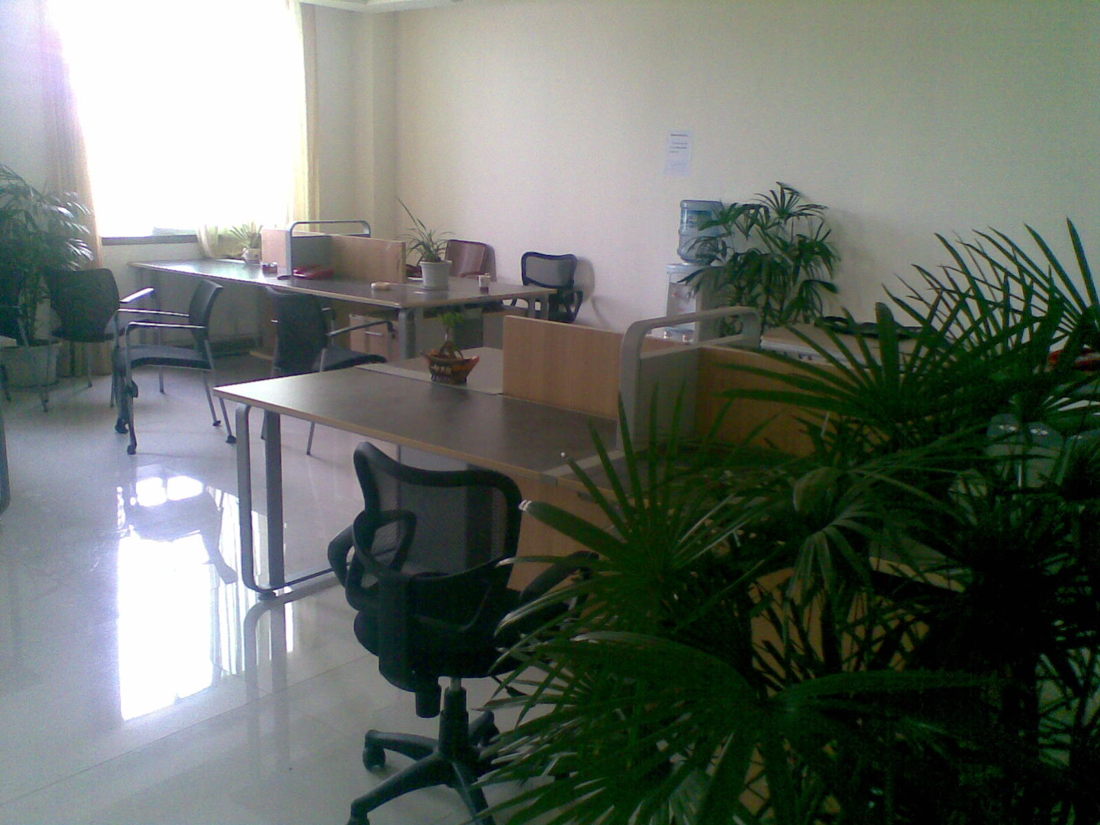 20100822(001).jpg