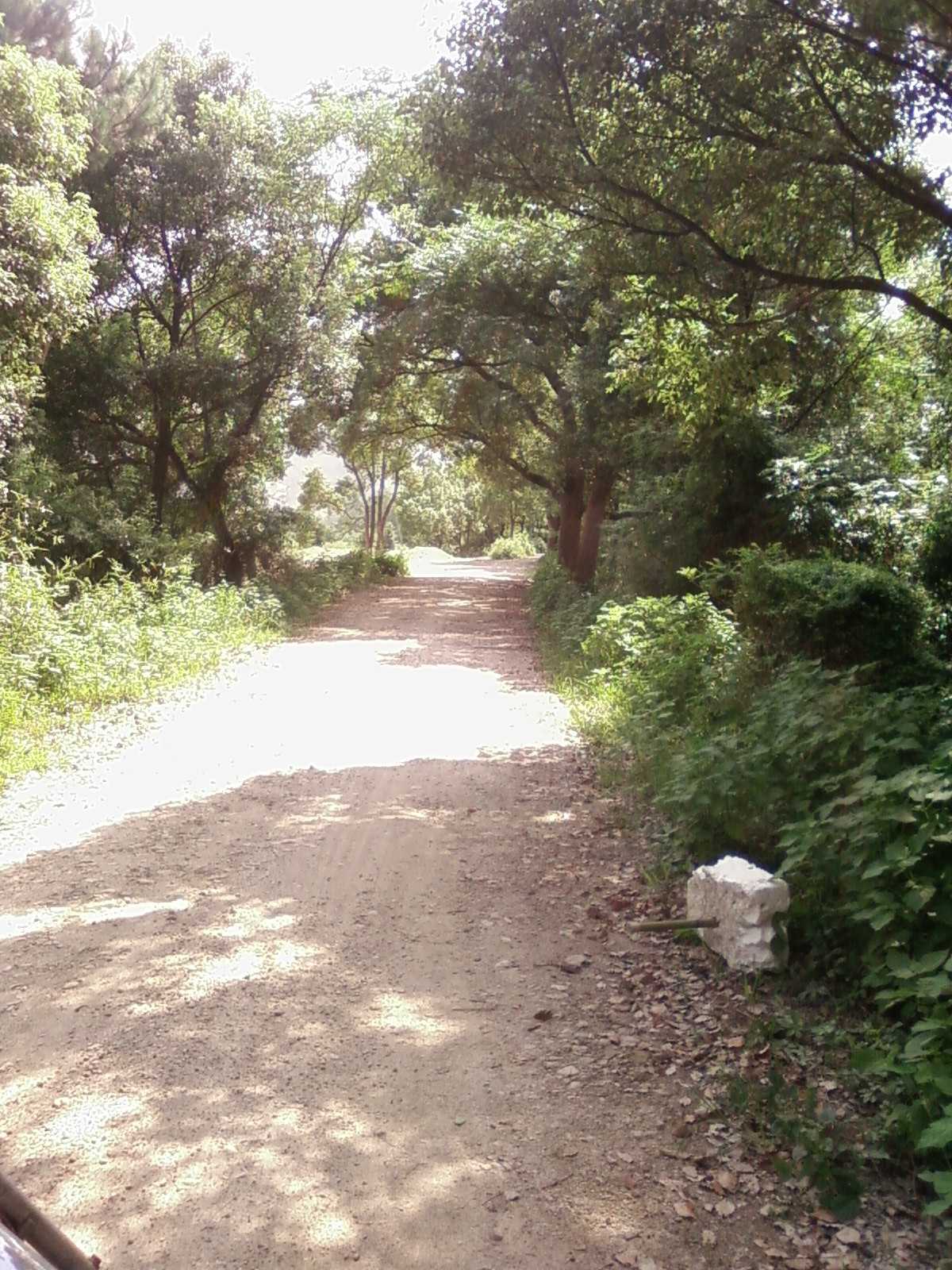 SP_A0626.JPG