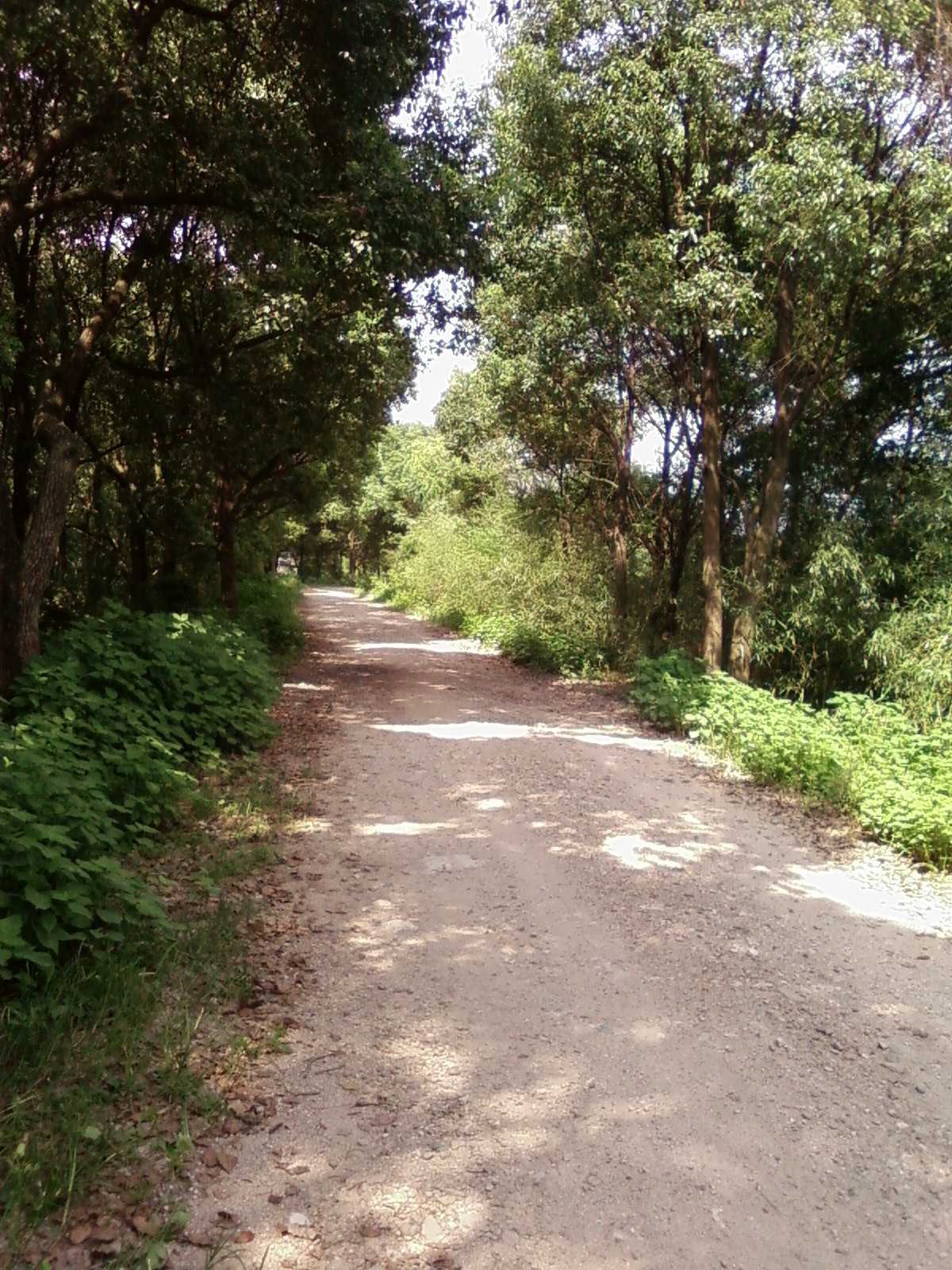 SP_A0625.JPG