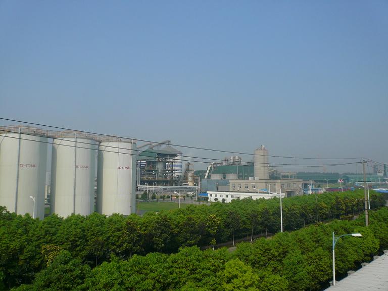 P1050300.JPG