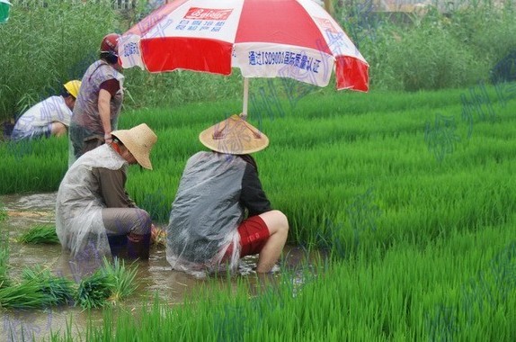 不能.jpg