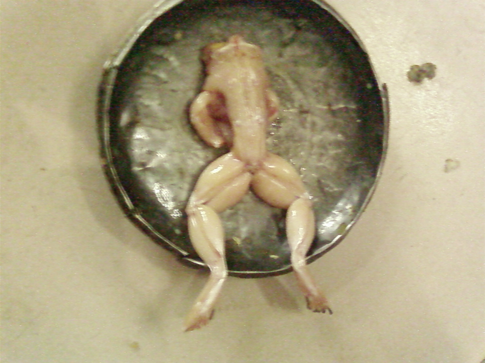 SP_A0760.jpg