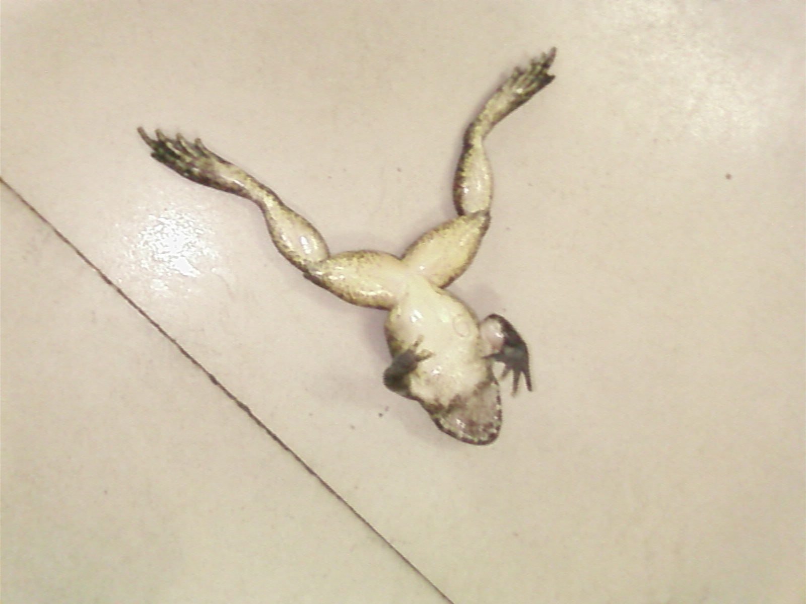 SP_A0756.jpg