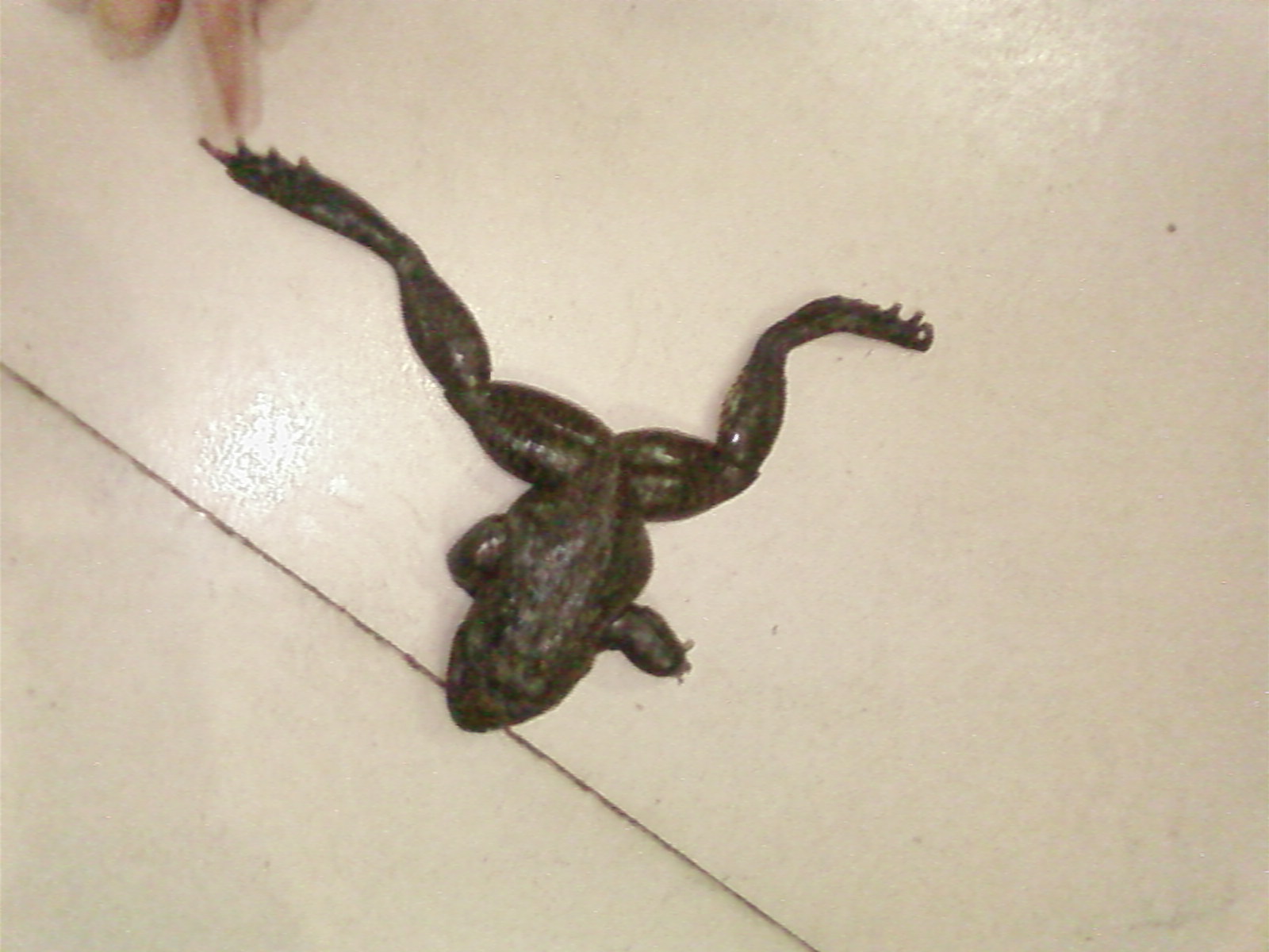 SP_A0757.jpg